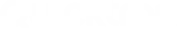 Quicktron